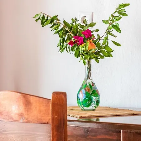 דירה Servani & *