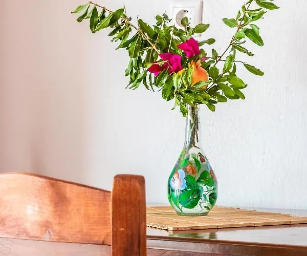 Apartment Servani & *